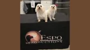 Espo Productions