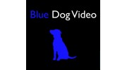 Blue Dog Video