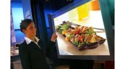 Marketing Video Production in the San Francisco Bay Area